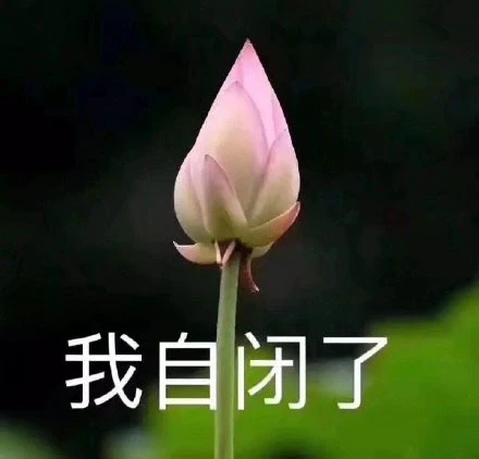 篮球队训练计划一周表_0